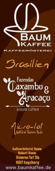 Baum Kaffee Brasilien Fazenda Caxambu