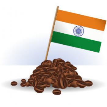 R&ouml;sterei Fuchs Indien Pampadampara