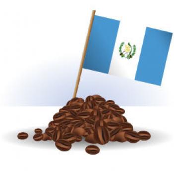 R&ouml;sterei Fuchs Guatemala Antigua