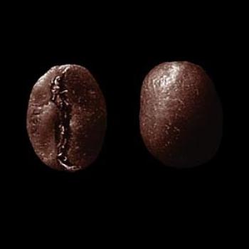 SAMOCCA Organic Kaffee Sidamo Grade 2 (&Auml;thiopien)